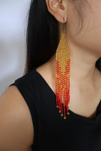 Load image into Gallery viewer, RUNWAY NAGALAND EARRING
